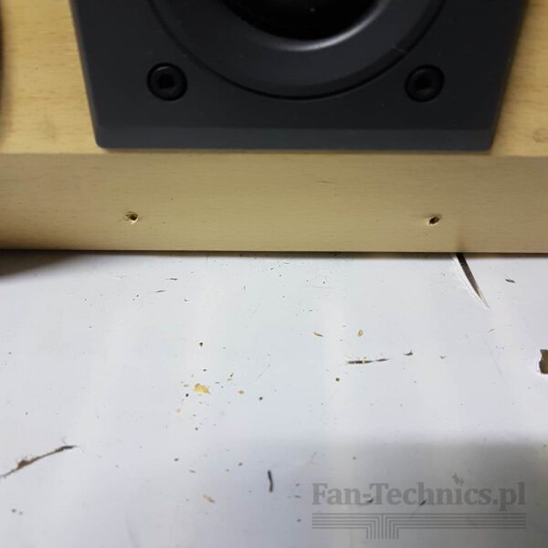 Kolumna centralna Technics SB-CA11 - obrazek 4